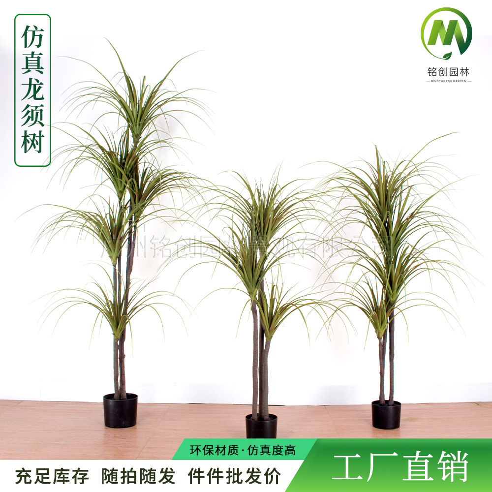Árbol de sangre de dragón artificial bonsai árbol de yuca árbol de barba de dragón mil años madera decoración artificial Cola de Caballo hierro Brasil hierro olla falsa