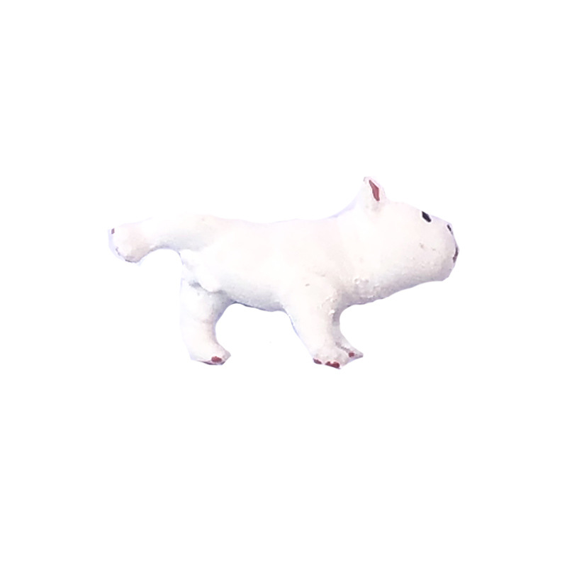 Bulldog peeing white