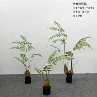 ������^ާ��zާ�U��ާ�Gֲ�k���ҿ͏d����������P�b[�
