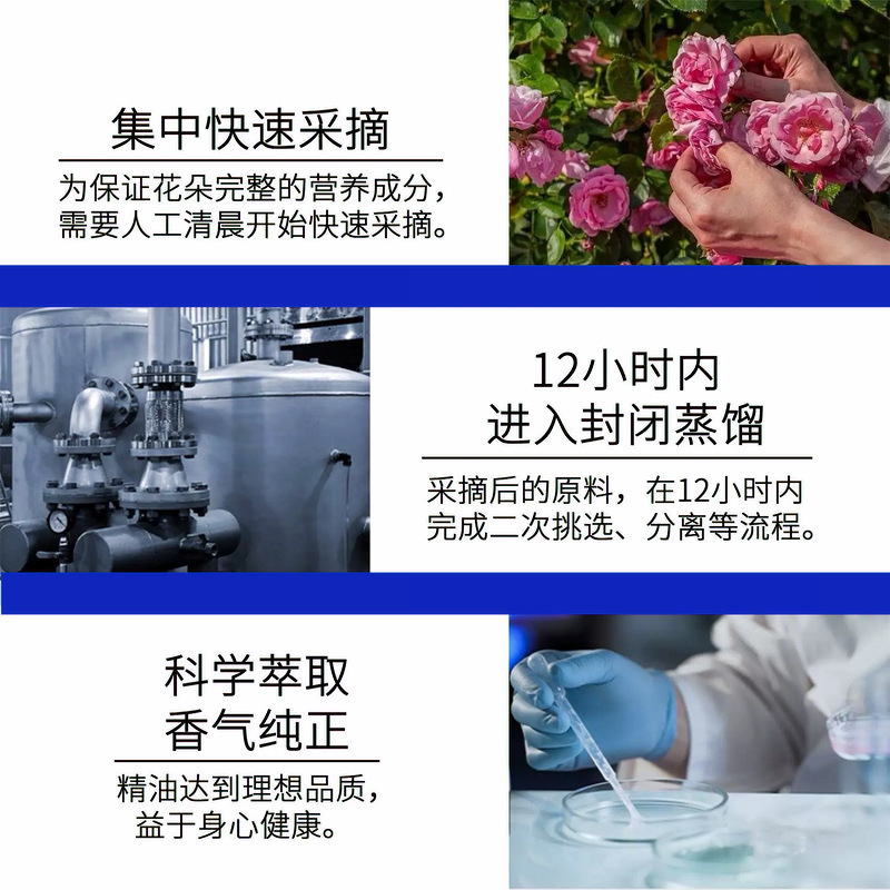 純乳香精油、純天然植物エキス、香料化粧品原料、高純度アロマテラピー|undefined