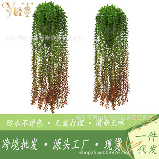 �羳���R�d�������m���l�Ҿ�ͥԺ���@�b����p��ɫ���l�쾰�b�