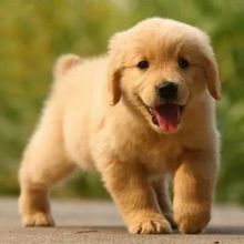 ���N��ë��Ȯ���w��Ǽܽ�ëȮ����혌�äȮ����Ȯ��ͥ��ë���w
