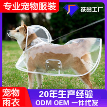 ��������͸���������S��ֱ��һ�����l��ˮ���L�����·�����Ȯ