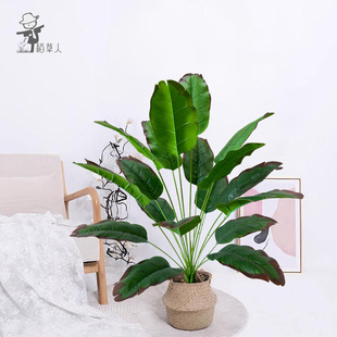 ����Gֲ�㽶�~�Ž��~���˽�������ԼҾ��bƵ��ֲ���҃��b�