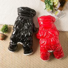 ̩�Ϲ����·��ﶬ�b���_����q���±��ܲ���С��Ȯ����Ӻ�ů��