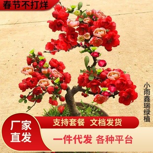 һ�����l���Ļ����Ԙ����辰�ذ��Ϙ�ͥԺ�Gֲ���҃��ļ������_��