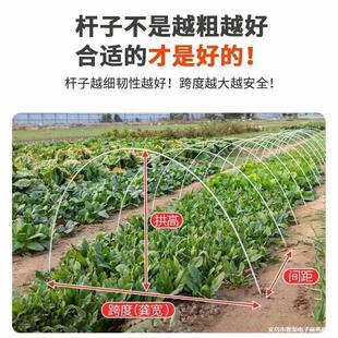 ����֧�ܲ����w�S�����w�S�U������x�����߲˹��Ӳ����w�S�U�N