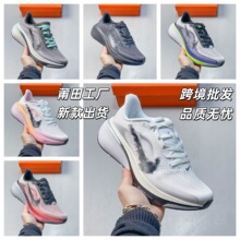�羳-���﹤�S-���Q-�¿�Pegasus����42����|͸���ܲ��\�����eЬ