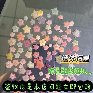 ���Ǻ���С���ﺣ�׻��w�����ɴ������㺣�������坍ˮĸ��������