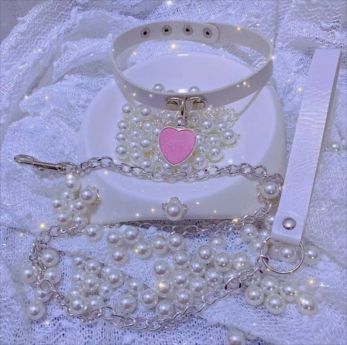 Intimate adult accessories, hair clips, nipple clamps, vibrators, SM bondage adult products, flirtatious set