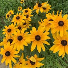 �������޸����ľջ��N���ļ��ײ����^�G���ͺ��ͺ�ë�~���շN��