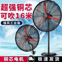 ��ҵ����ǿ������ȴ������ñڹ�ʽţ���ȹ����������������