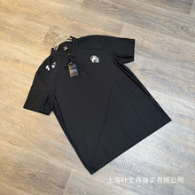�Ϳ̸߰汾�ұ��zPOLO������ʿ�ļ����z���I�ٸ��̄հٴ����l