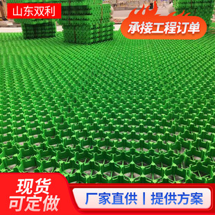 �S�ҬF؛����ͨ��ֲ�ݴu���е�ͣ܇����ƺ��HDPE�o������ֲ�ݸ�