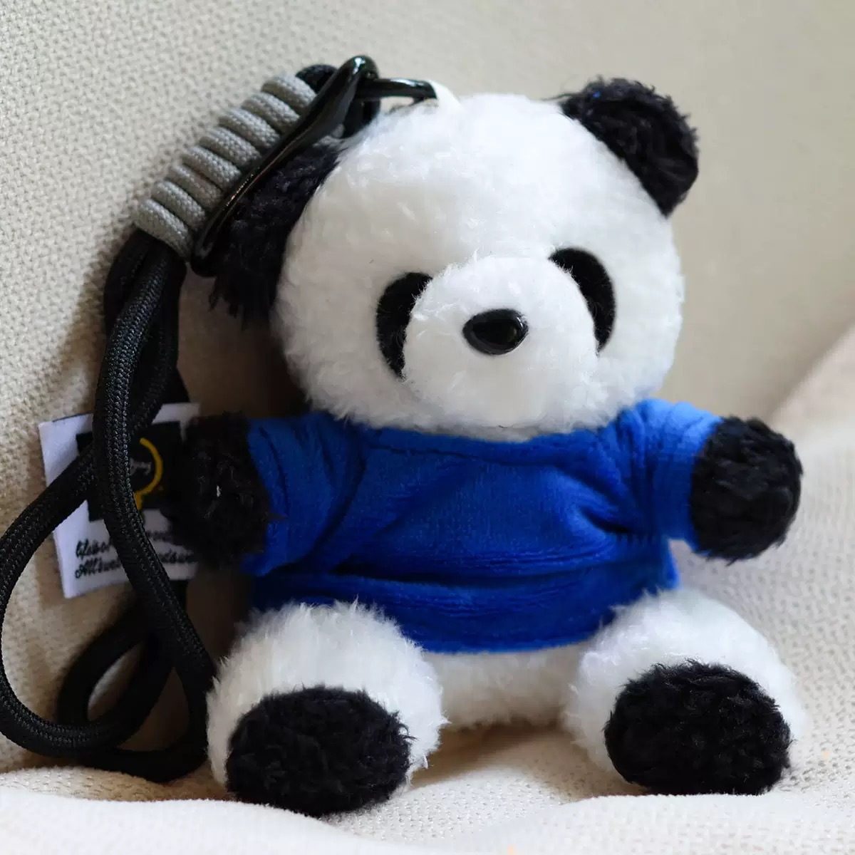 Caricatura panda peluche colgante oso espacial bolsa colgar decoración Wenchuang peluche muñeca llavero regalo para parejas
