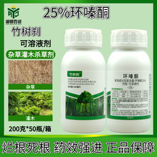 �h�ͪ����ľ���ӌ���ș�����s���JȔ��ľ����ș�hຆL�������݄�