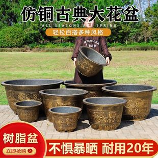 �ش�̖�����֬�Ӻ���~���賬������̨ͥԺ�N�仨��Y������