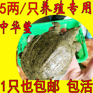 南平市建阳区居月百货商行