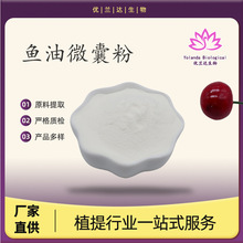 鱼油微囊粉10% 鱼油提取物 DHA鱼油粉末 二十二碳五烯酸 厂家直供