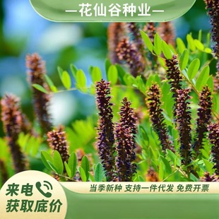 ���뻱�N���ļ����G��ɽ���G�o�¹�����������ľֲ�����