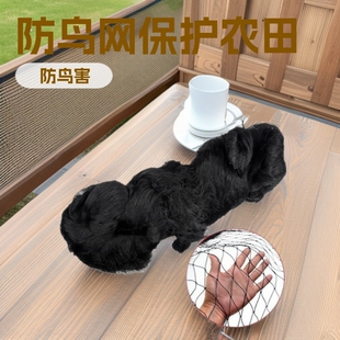 ������B�W��ɫ��]������o�W�Bֳ�~�����@�r��r�B��W���l