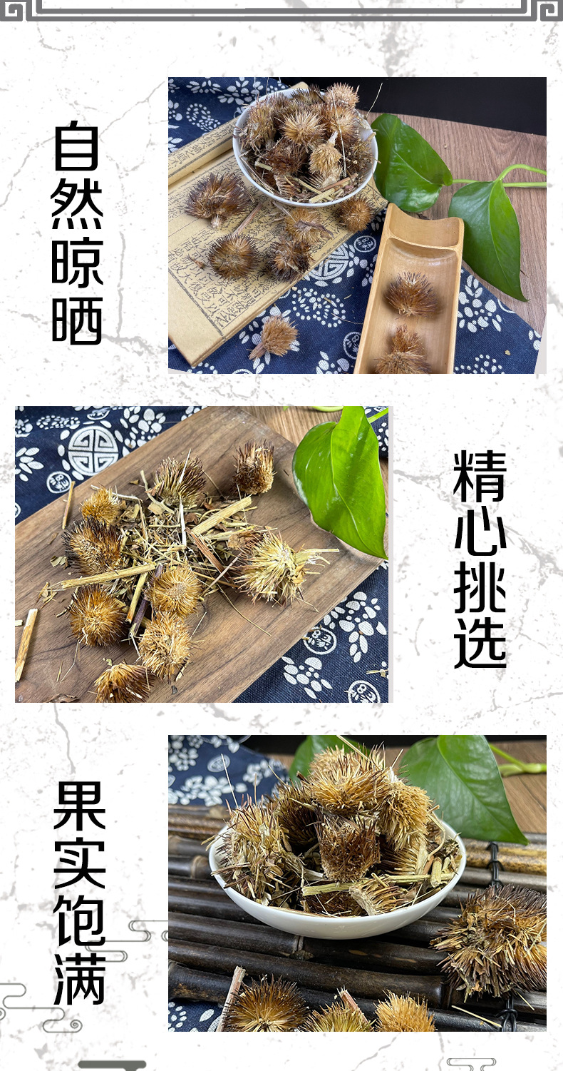 Echinacea Whole Plant Slices Zi Zhui Ju Purple Cone Flower Loose Herbal Tea 500g key features