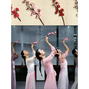 Classical dance escape, burning and burning, real plum blossom, plum blossom, peach blossom, pink children's performance dance props