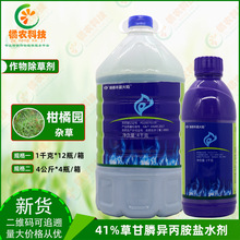 瑞德丰 蓝火焰41%草甘膦异丙胺盐一年生杂草多年生杂草除草剂