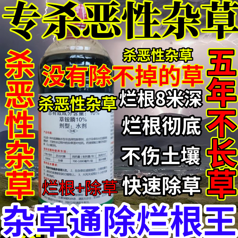 专杀恶性杂草精草铵膦铵盐果园烂根小飞蓬耕地强效除草剂烂根王