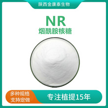 烟酰胺核糖99%NR新资源食品 烟酰胺和糖苷 维生素B3衍生物 100克