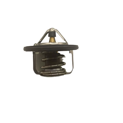 Suitable for Suzuki, Thermostat