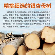 实木菜板异形砧板银杏木整木菜墩防霉健康耐磨环保家用切菜厨房