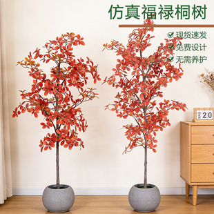�F؛����Gֲ����ͩ��F�����s�҃Ȕ[���̈��쾰��������b٘�