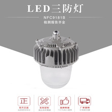 厂家热销led三防平台灯70W80W100W防眩泛光灯2.5米立杆防水防尘灯