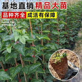 盆栽;其他园林资材;栽培基质