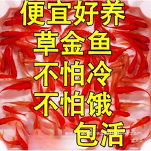 �S��ֱ�NС���~���^�p�~��ˮ�ͻ���B�~��ˮ�t���\�����~С���~��