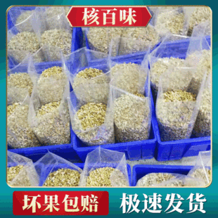 2024����؛�˰�ζ��·������ԭ�a�؄�Ƥ��·���������l����