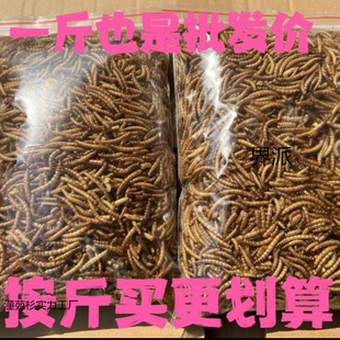 ���x�}����S���x�����~�˸��Bʳ������ʳ�J���uԴ���Sһ�����l