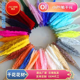 永生花;鲜花花艺制品;干花