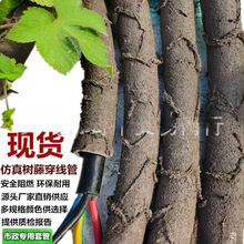 ���ϸɘ�֦늾����@��ľ���ٗl�bܷ�Ƥ������Ę��ٴ�����