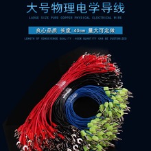 ���������̾�늌W���朽ӌ������p��̖U�^�{�~�A�^�~���^����