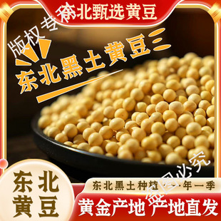 5��|���S��10��24��󶹴򶹝{����ѿ������؛