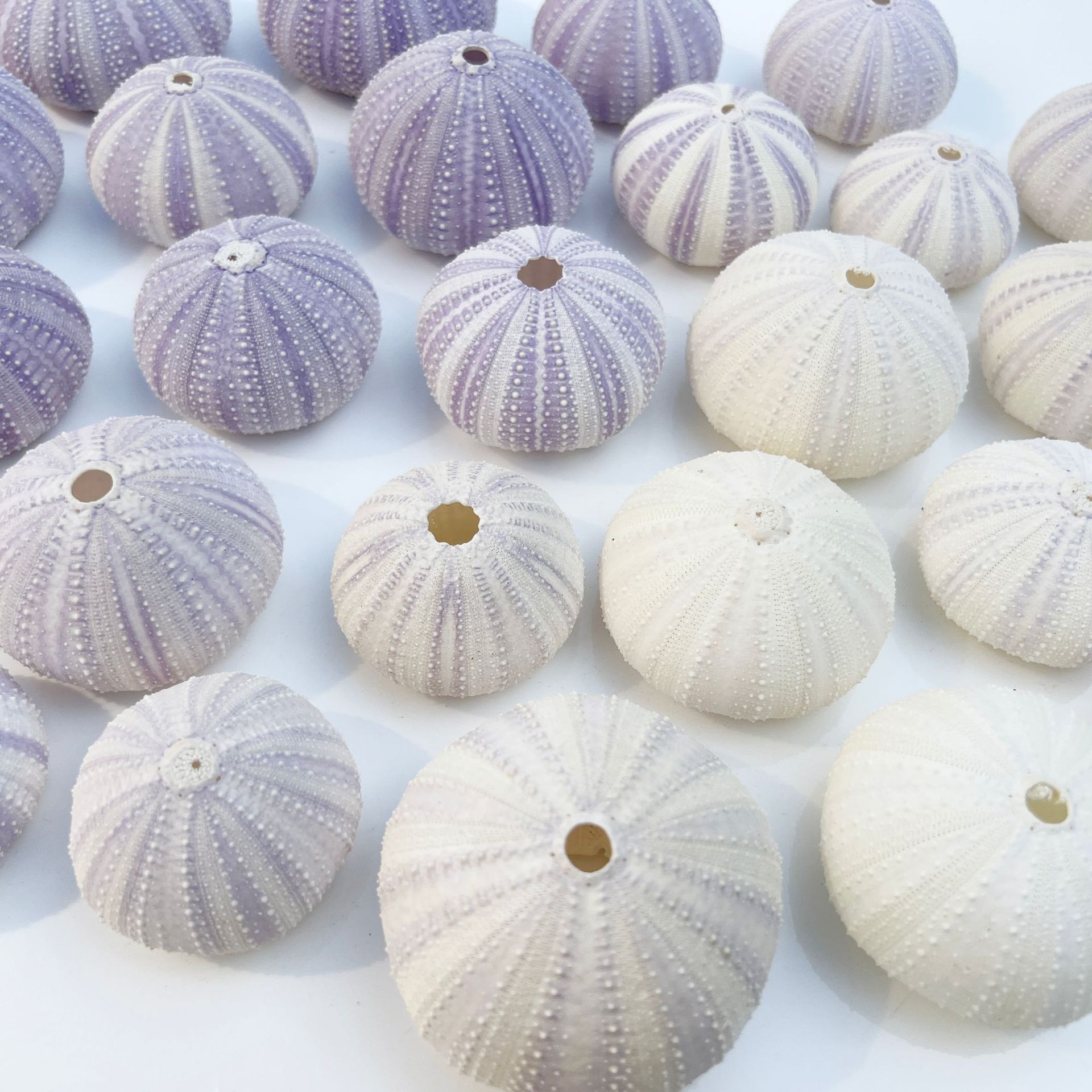 微信图片_20241205145456