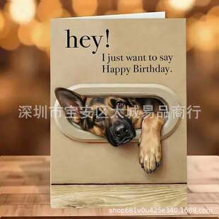 �羳�¿��Ц�������տ��R���YƷ���Y�� Funny Dog Birthday Card