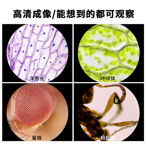 Microscope children's science experiment middle school students' special electronic optics handheld high-power household primary school children