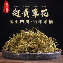 sSݻĴAҰ500gƷ|o/οđ