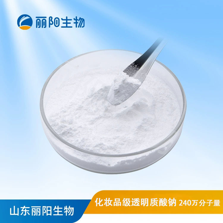 厂家直供 化妆品级 透明质酸钠/透明质酸/玻尿酸  240万分子量