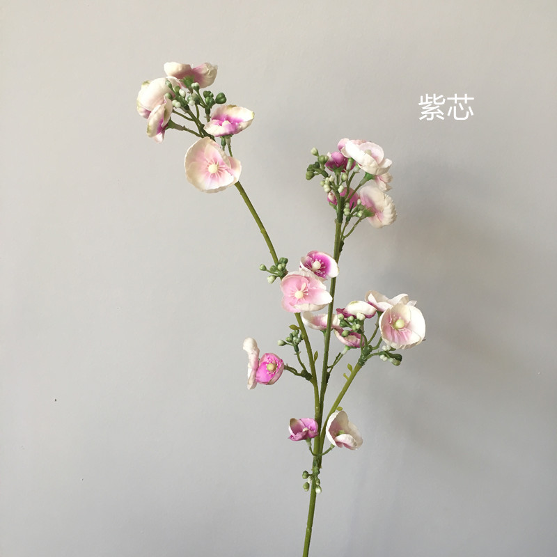 보라색 심장