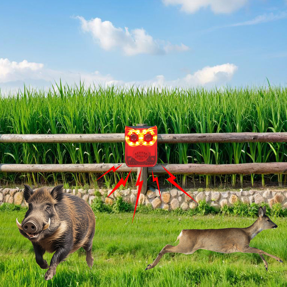 912A-语音款详情_06