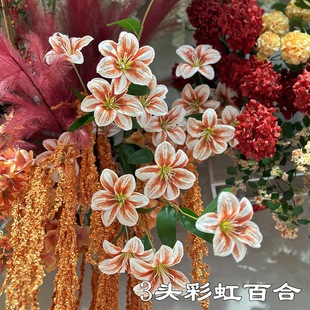 �¿�����ɫ�ٺϻ��S�����l 3�^�ʺ�ٺ���ɫ�ٺϻ�Yܛ�b�ٻ�